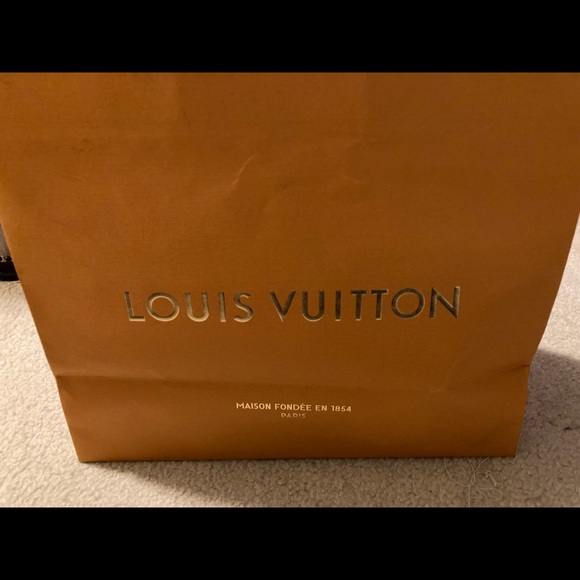 Louis Vuitton empty shopping bag 19” x 16” x 9” - Picture 3 of 7